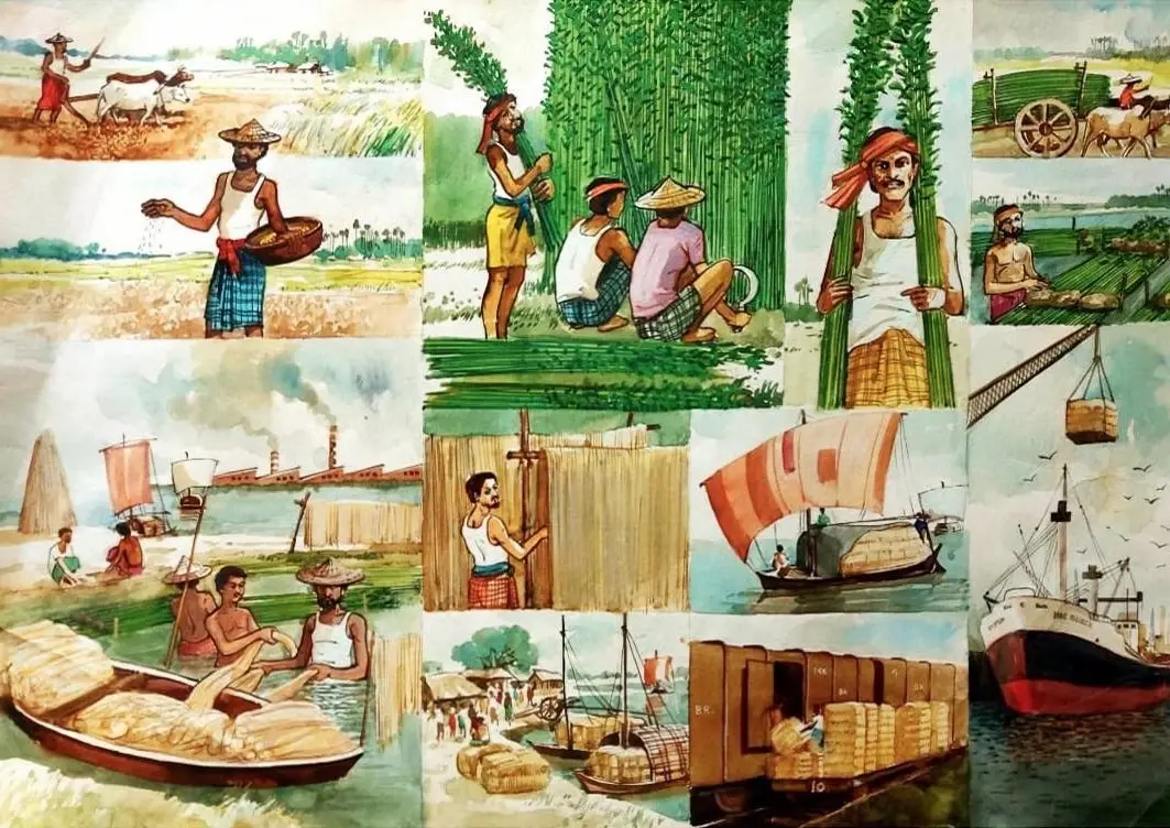 The Rise of the Jute Industry in Bangladesh | The Golden Fibre Trade ...