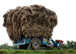 Raw Jute for factory gftcl.com