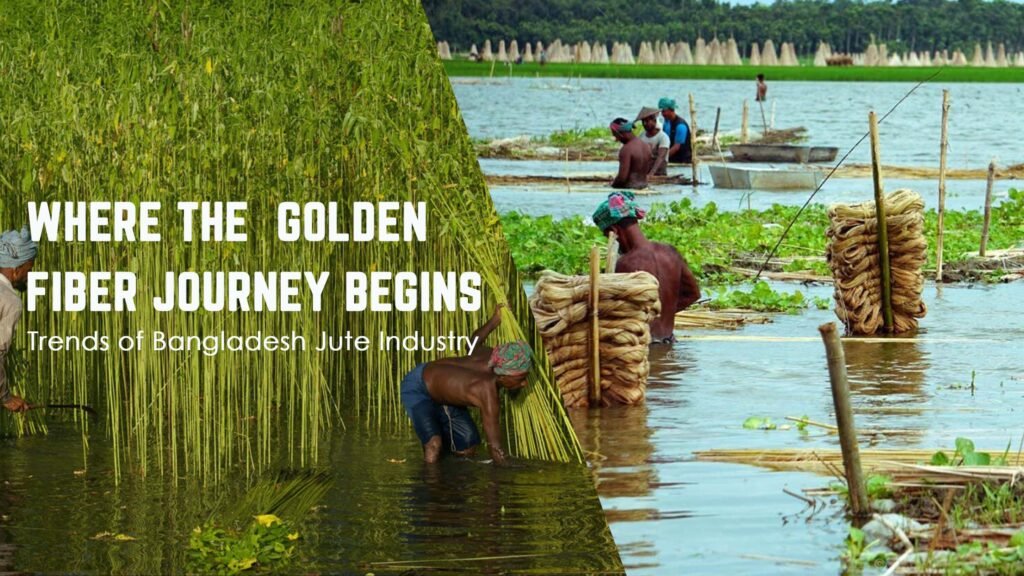 Bangladesh jute industry, farmers harvesting golden fiber in water field. jute cultivation